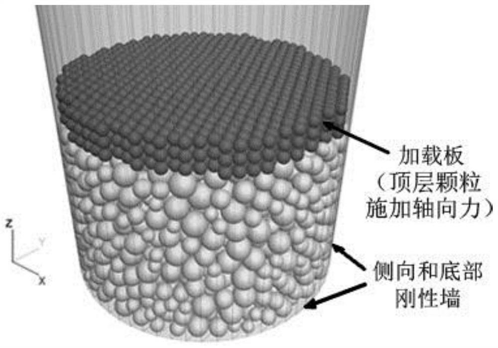 Compression penetration test numerical simulation method based on particle discrete element and lattice Boltzmann