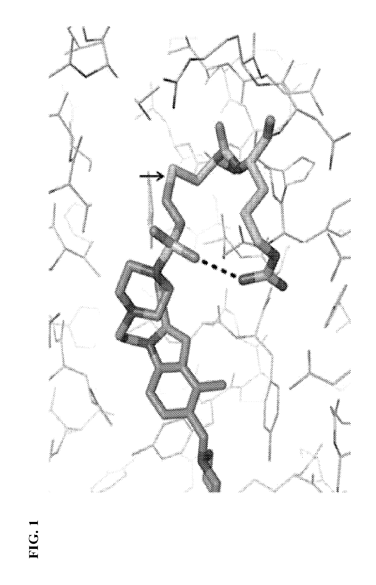 Thienopyrimidine and thienopyridine compounds and methods of use thereof