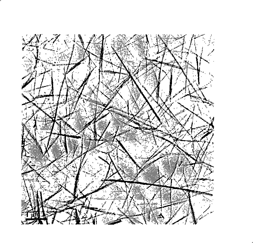 Nanometer fluorescence material with nuclear shell structure and preparation method thereof