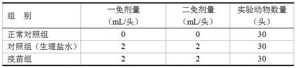 Bovine Morganella morganii arthritis inactivated vaccine and preparation method thereof