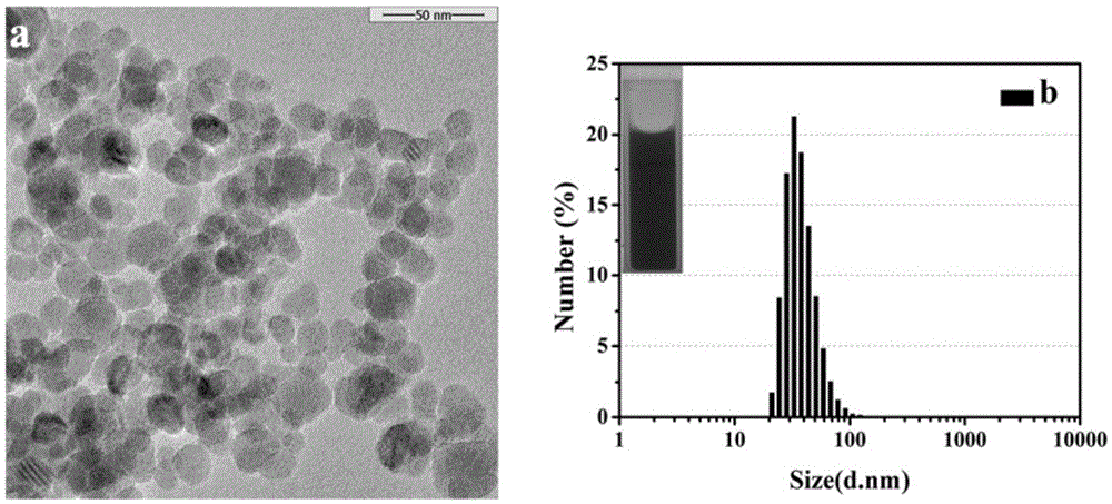 A kind of preparation method of targeted nuclear magnetic contrast agent