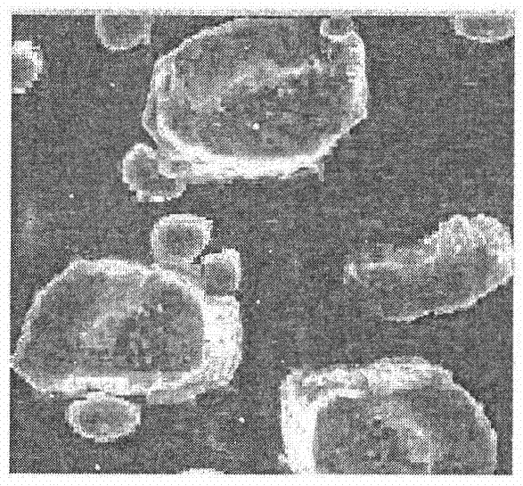 Preparation method and products of danofloxacin mesylate liposome