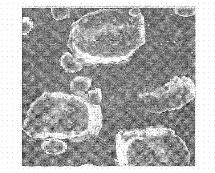 Preparation method and products of danofloxacin mesylate liposome