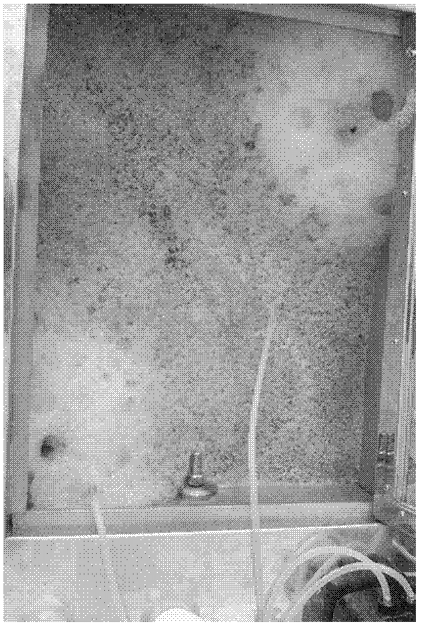 Method for preparing fibrilia by using penicillium purpurogenum DB1 strains