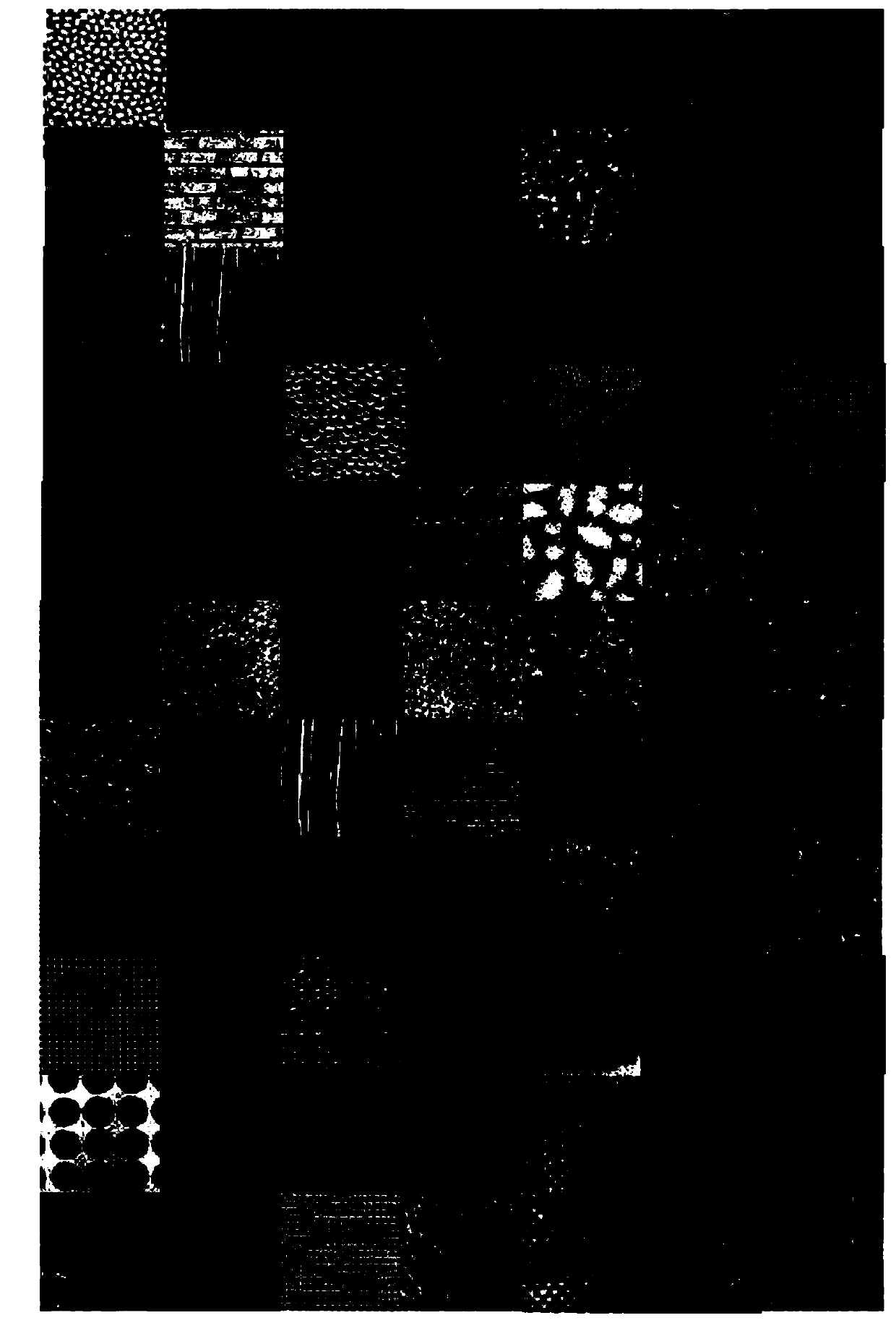 SAR image classification method based on united sparse representation