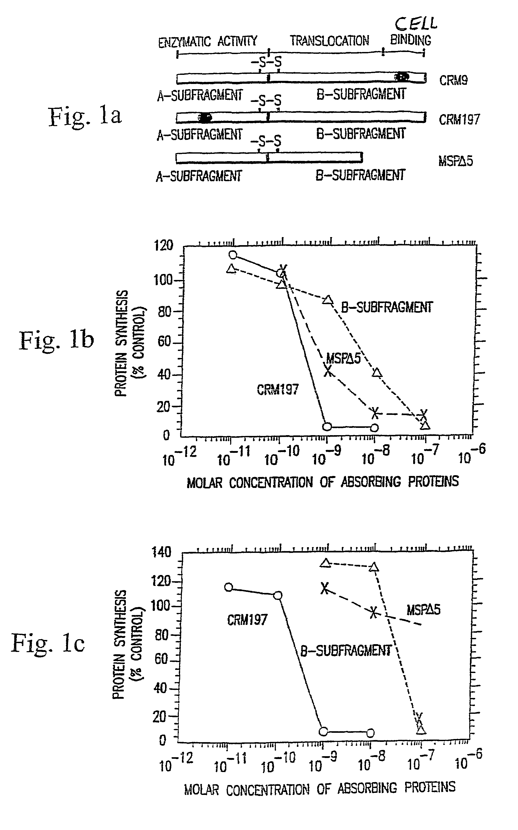 Immunotoxin fusion proteins and means for expression thereof