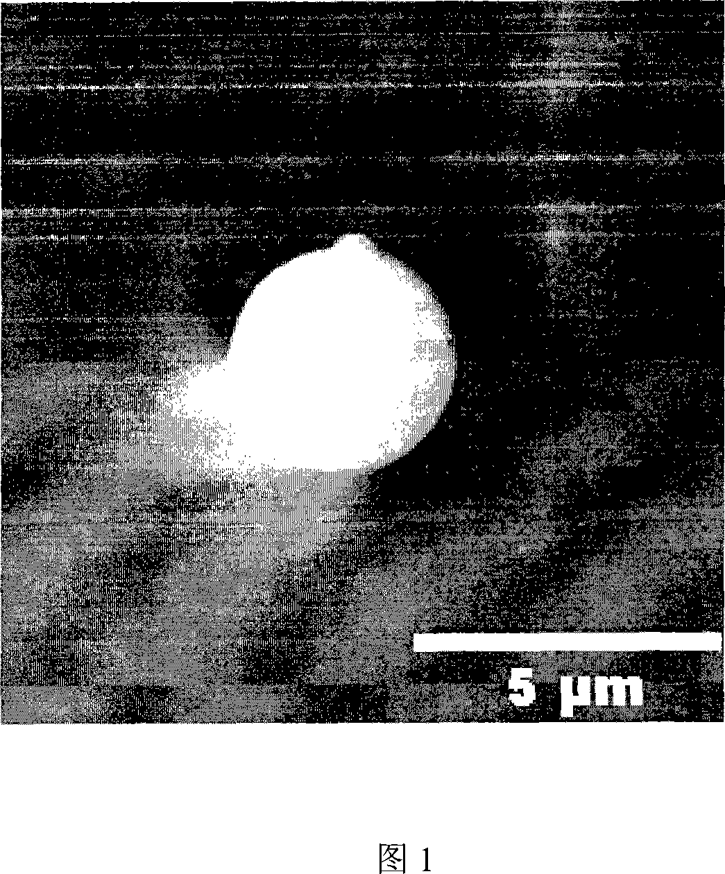 Method for preparing micro-capsule containing high light-effect rare earth compounding matter