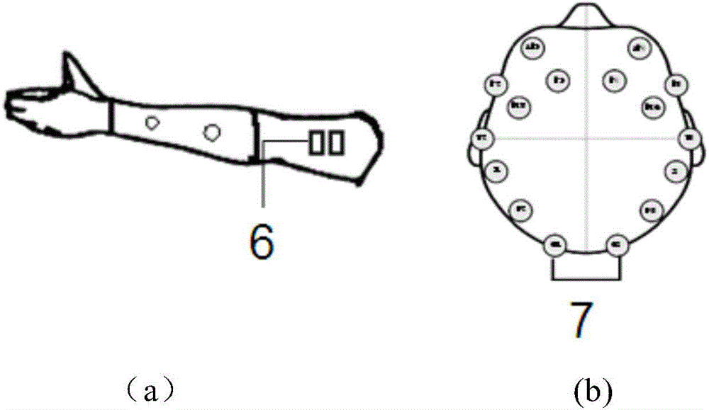 Brain-myoelectricity artificial limb control device and method based on scene steady-state visual evoking