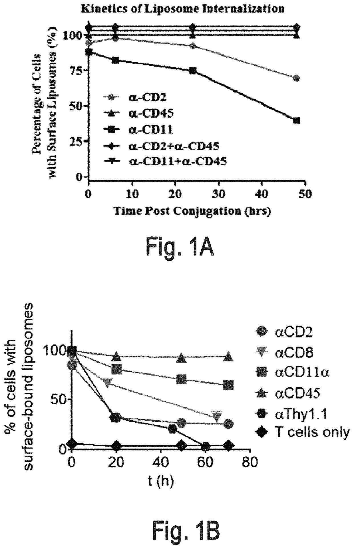 Cell surface coupling of nanoparticles