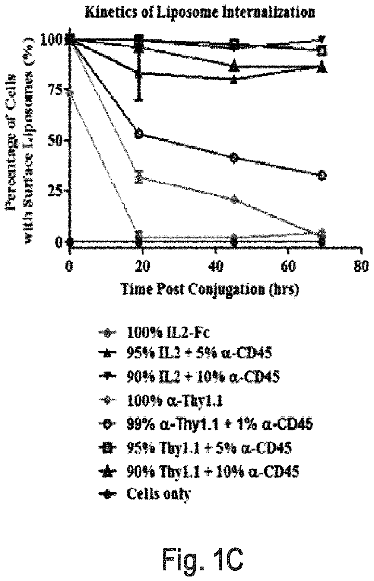 Cell surface coupling of nanoparticles