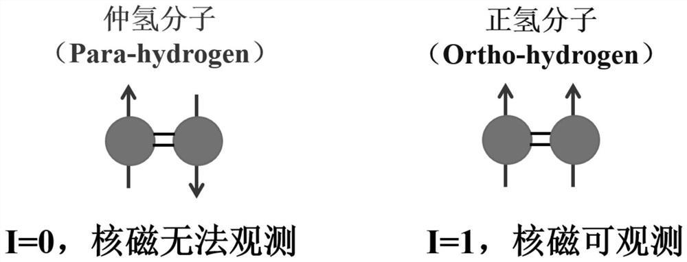 Device and method for detecting parahydrogen content by using nuclear magnetic resonance