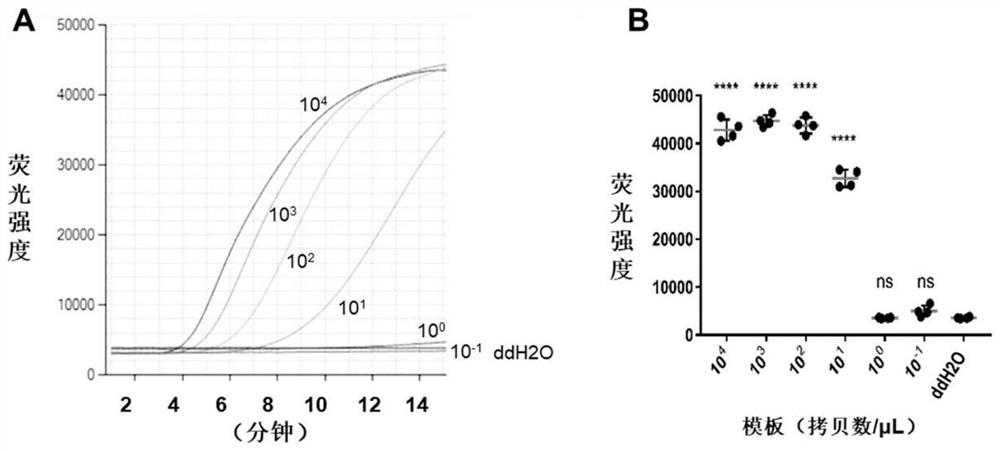 Yersinia pestis detection kit based on real-time fluorescence RPA technology and application thereof