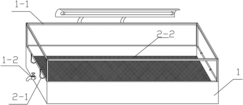 Method for feeding hirudo nipponia adults and sustainably extracting hirudin and special equipment