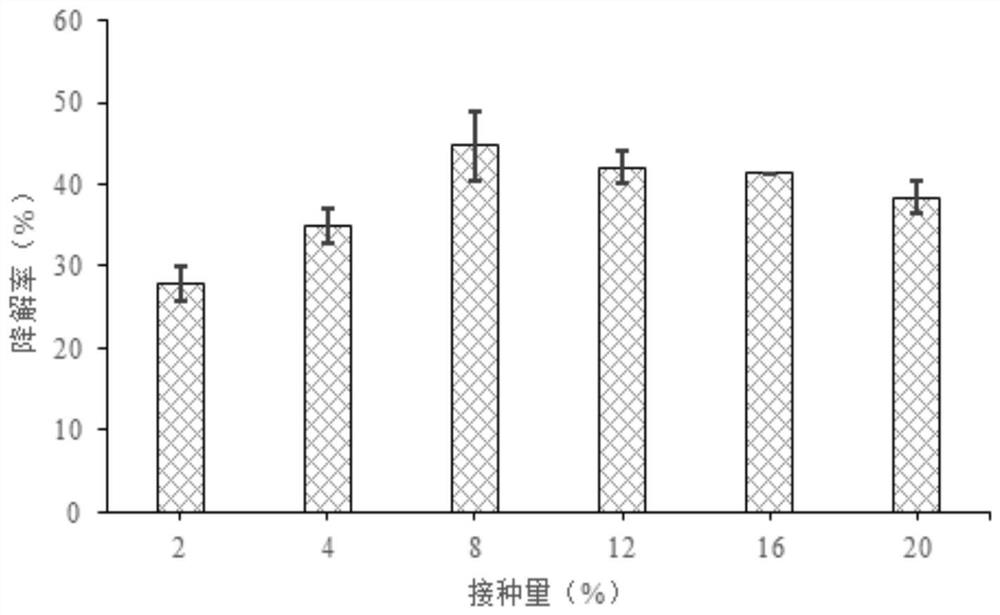 Preparation and application of microbial agent for degrading quinclorac