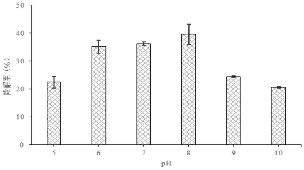 Preparation and application of microbial agent for degrading quinclorac