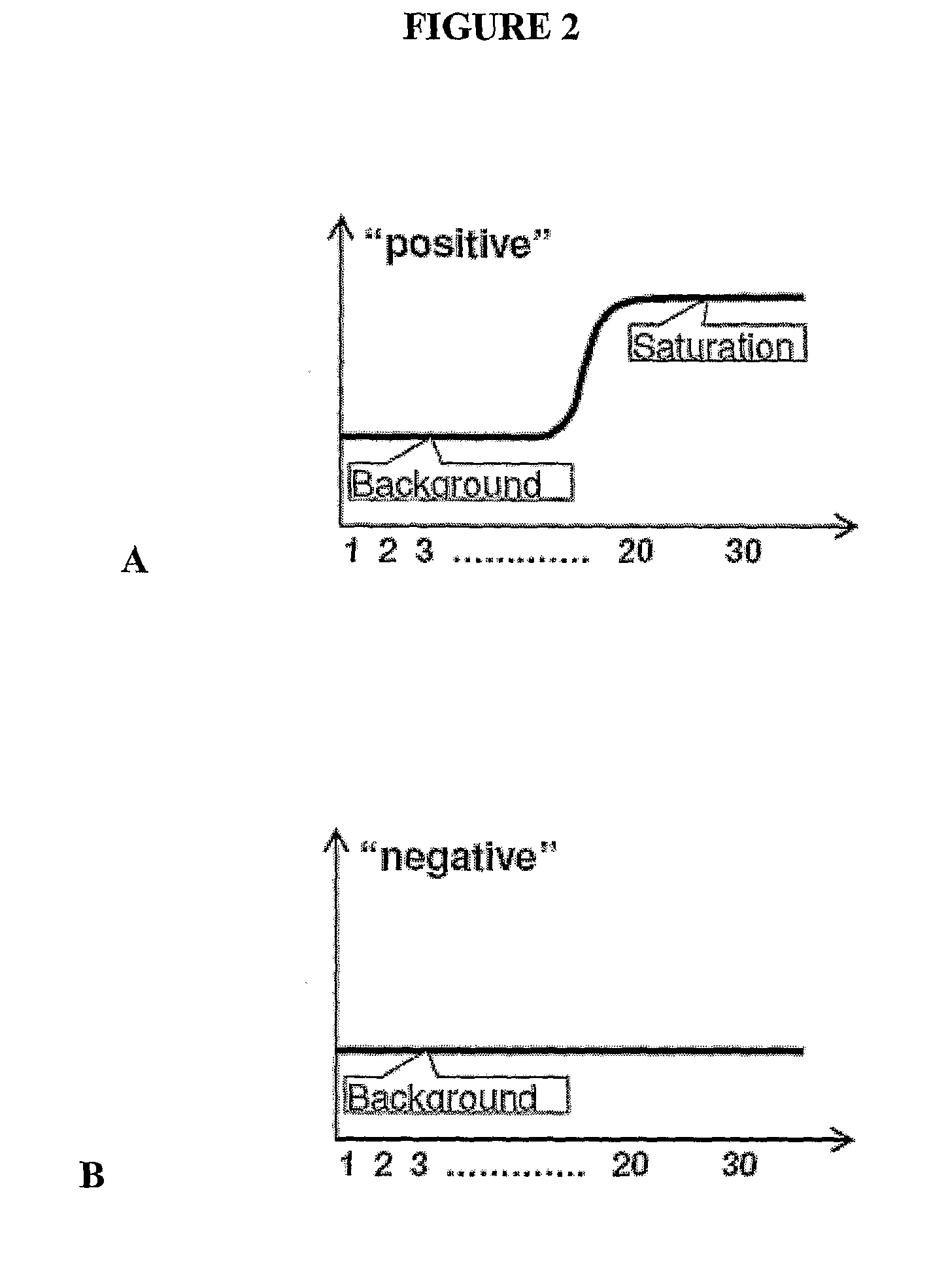 Absolute PCR Quantification