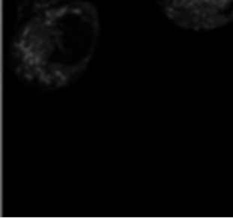 Preparation and application of novel fluorescent probe having ICT-PET effect and capable of being used for formaldehyde detection