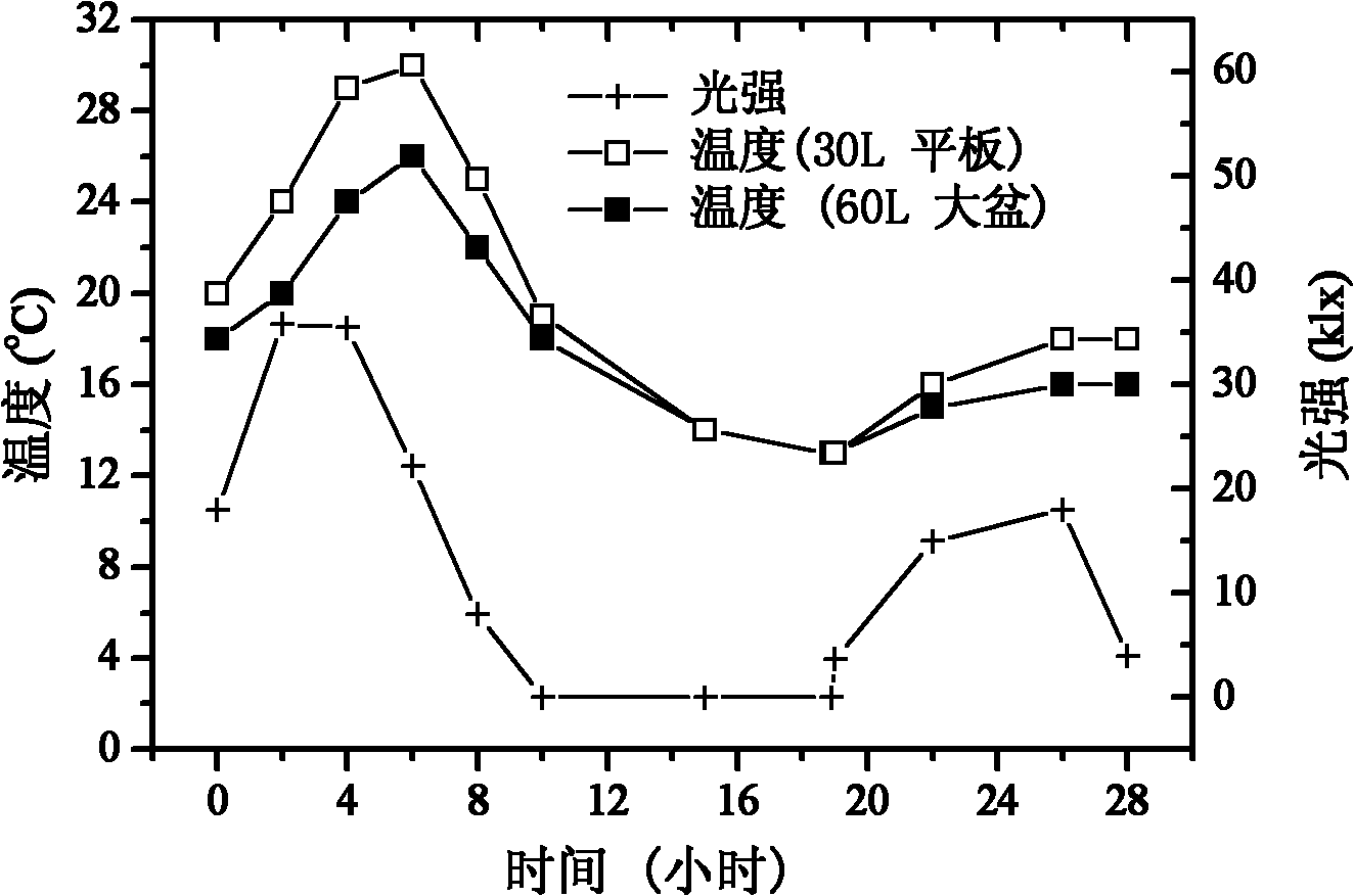 Method for rapidly accumulating micro-algae intracellular grease