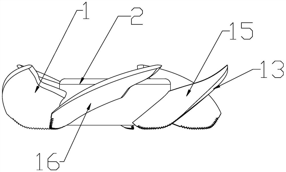 A Bionic Axial Flow Wind Wheel