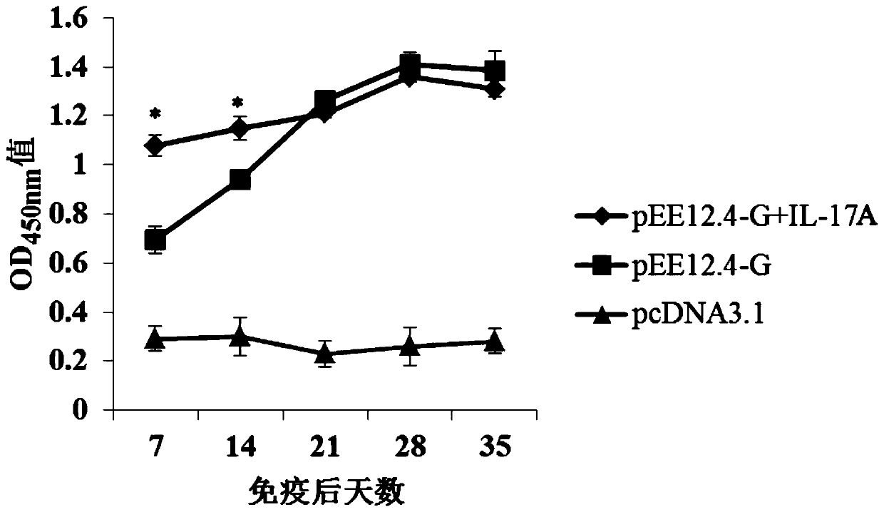 Application of il-17a protein in preparation of animal vaccine adjuvant