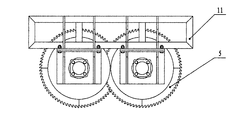 Cane harvester