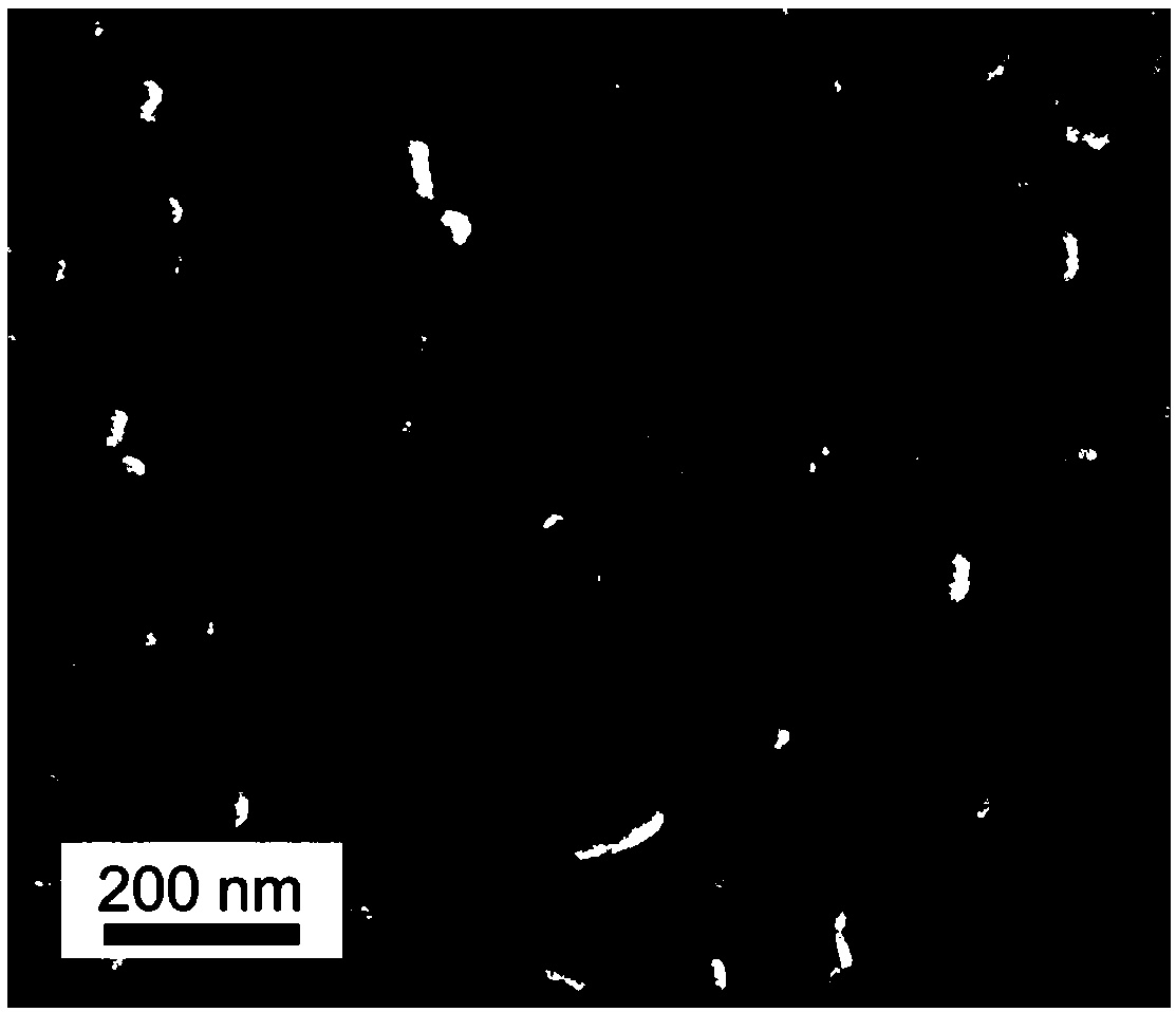 Preparation method and application of homogenous barrier layer/frame titanium dioxide structure