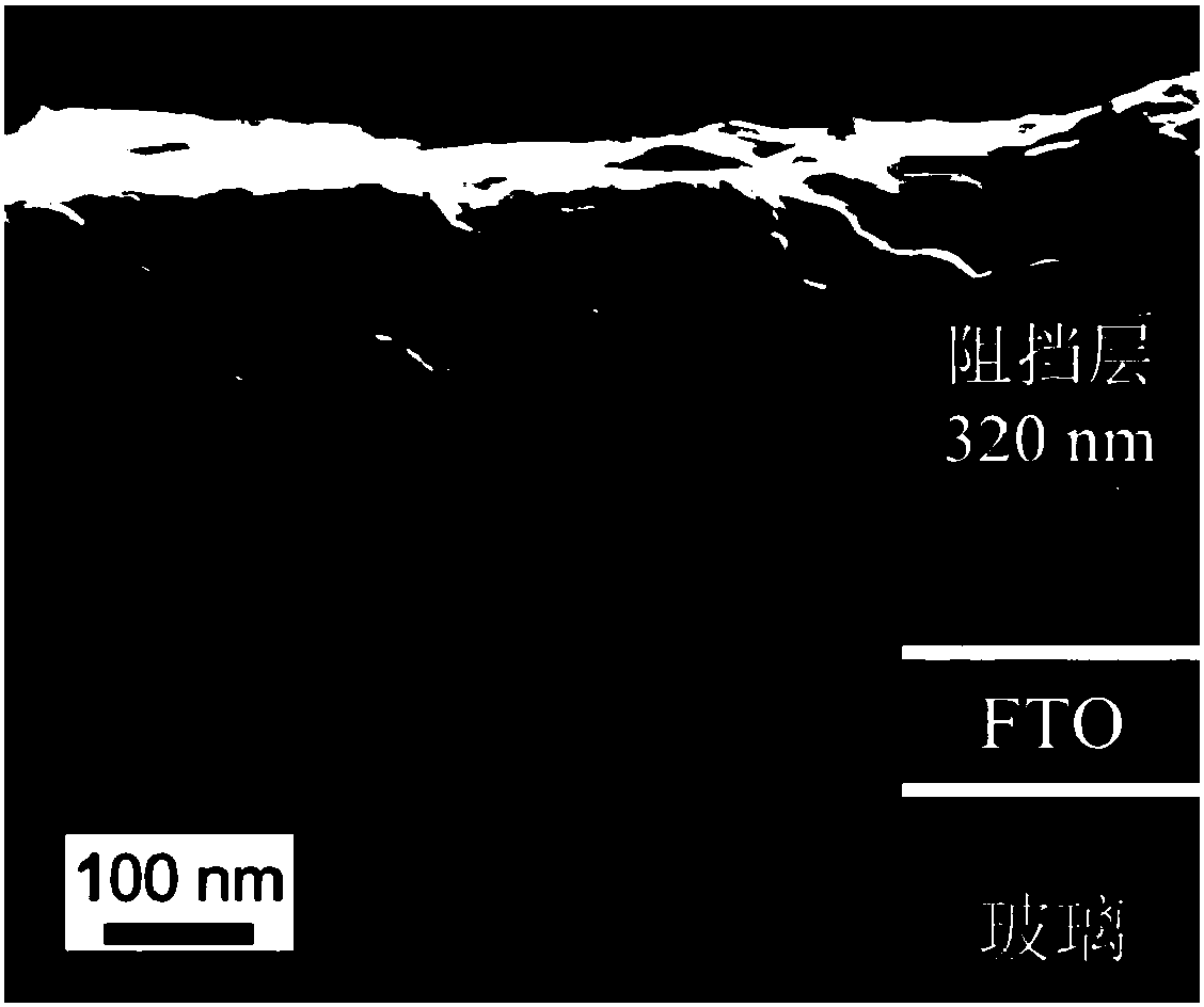 Preparation method and application of homogenous barrier layer/frame titanium dioxide structure