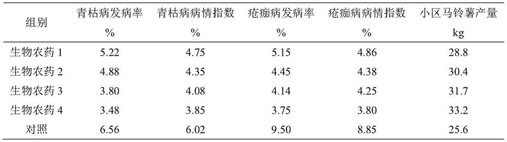 Biopesticide for preventing and treating bacterial diseases of potatoes and preparation method of biopesticide