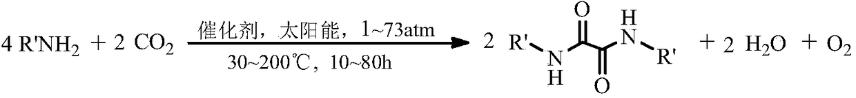 Method for synthesizing N,N'-dialkyl oxalamide by using artificial photosynthesis effect, and derivative thereof