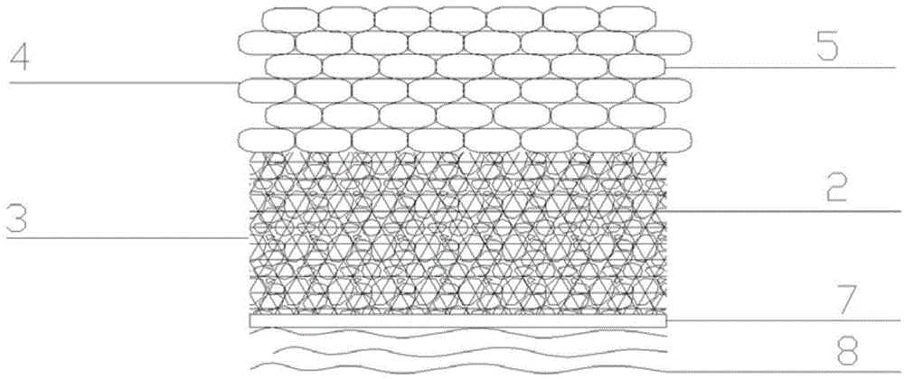 Ecological bank protection structure and method