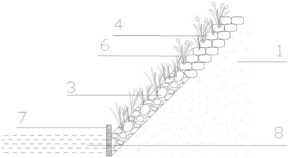 Ecological bank protection structure and method