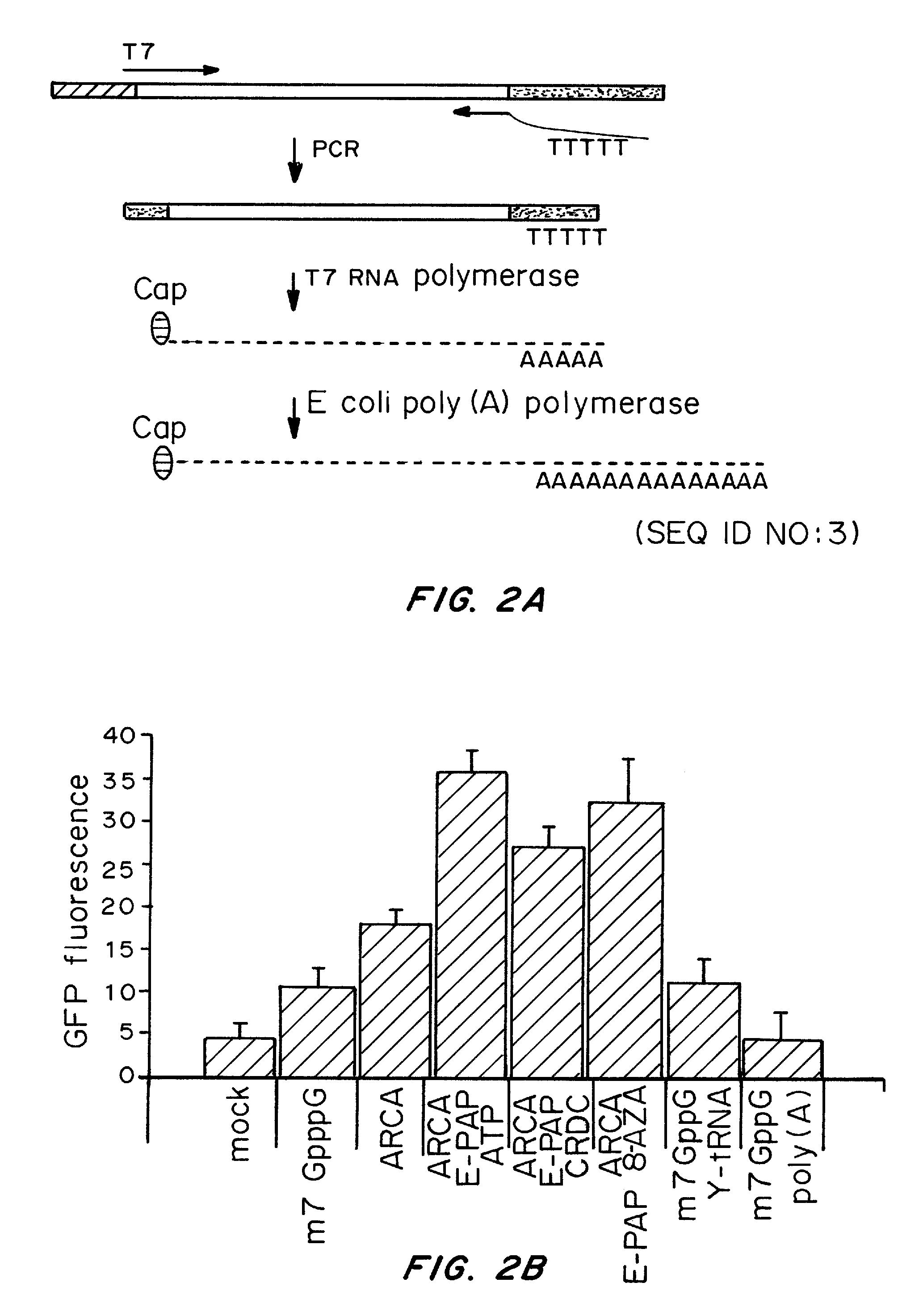 Transient transfection with RNA