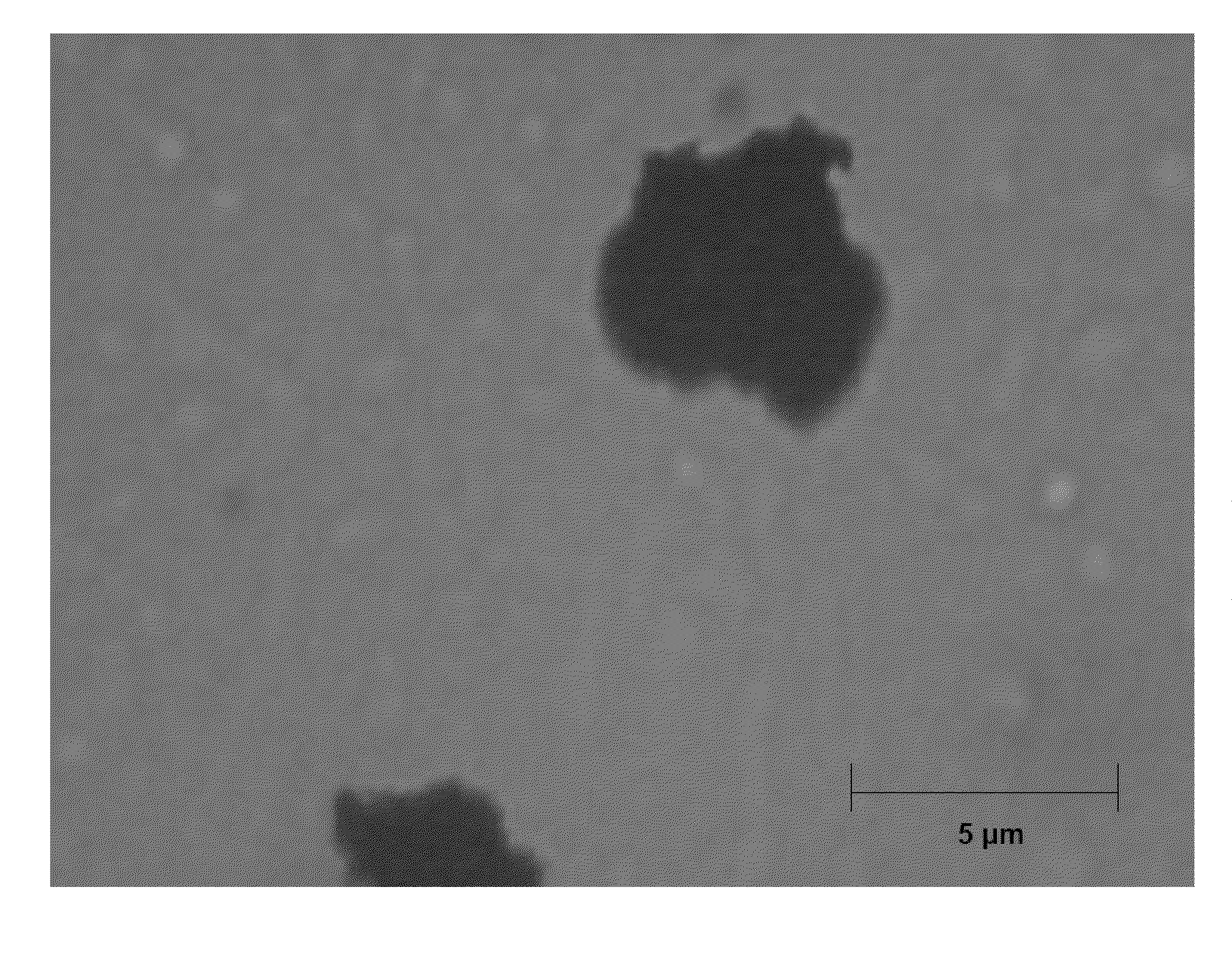 Compositions Comprising Solid Particles Encapsulated In A Cross-Linked Silicone Matrix, And Methods Of Making The Same