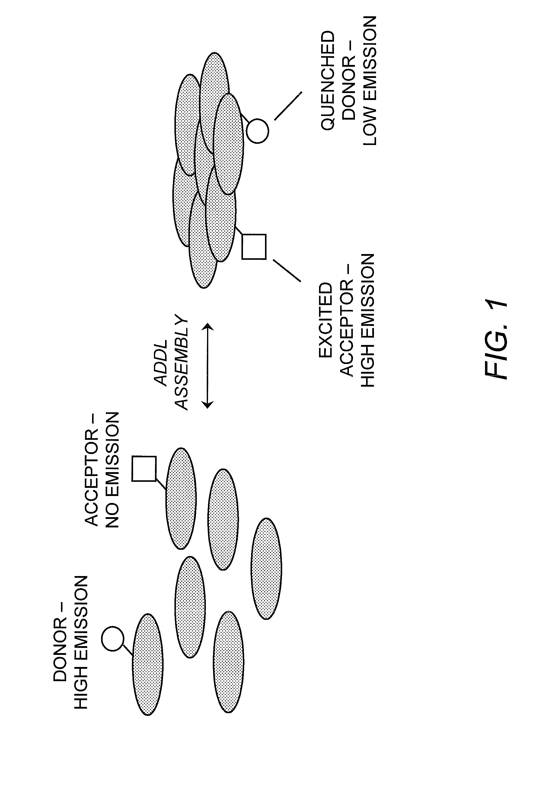 Method for detecting oligermization of soluble amyloid beta oligomers