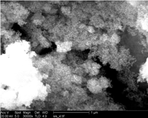 A method for synthesizing core-shell structure carbon-coated gold nanoparticles with regular spherical morphology