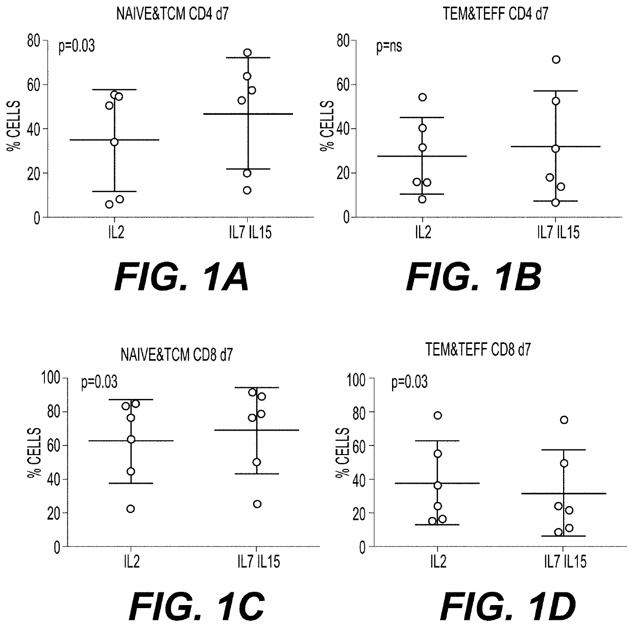 Methods of Preparing T Cells for T Cell Therapy