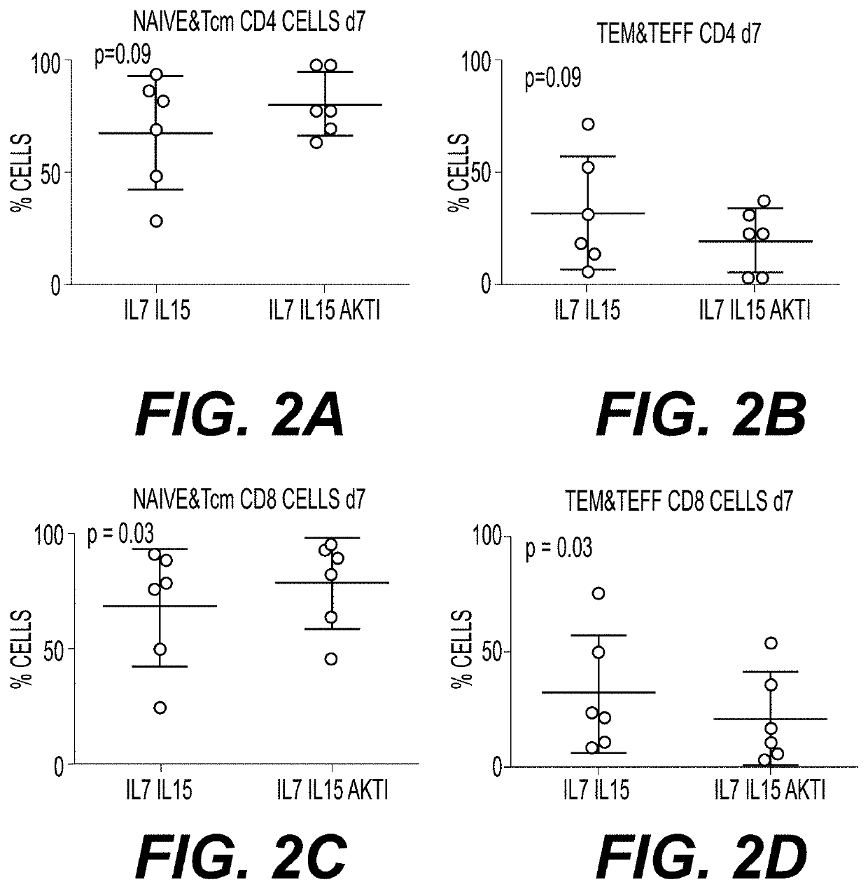 Methods of Preparing T Cells for T Cell Therapy