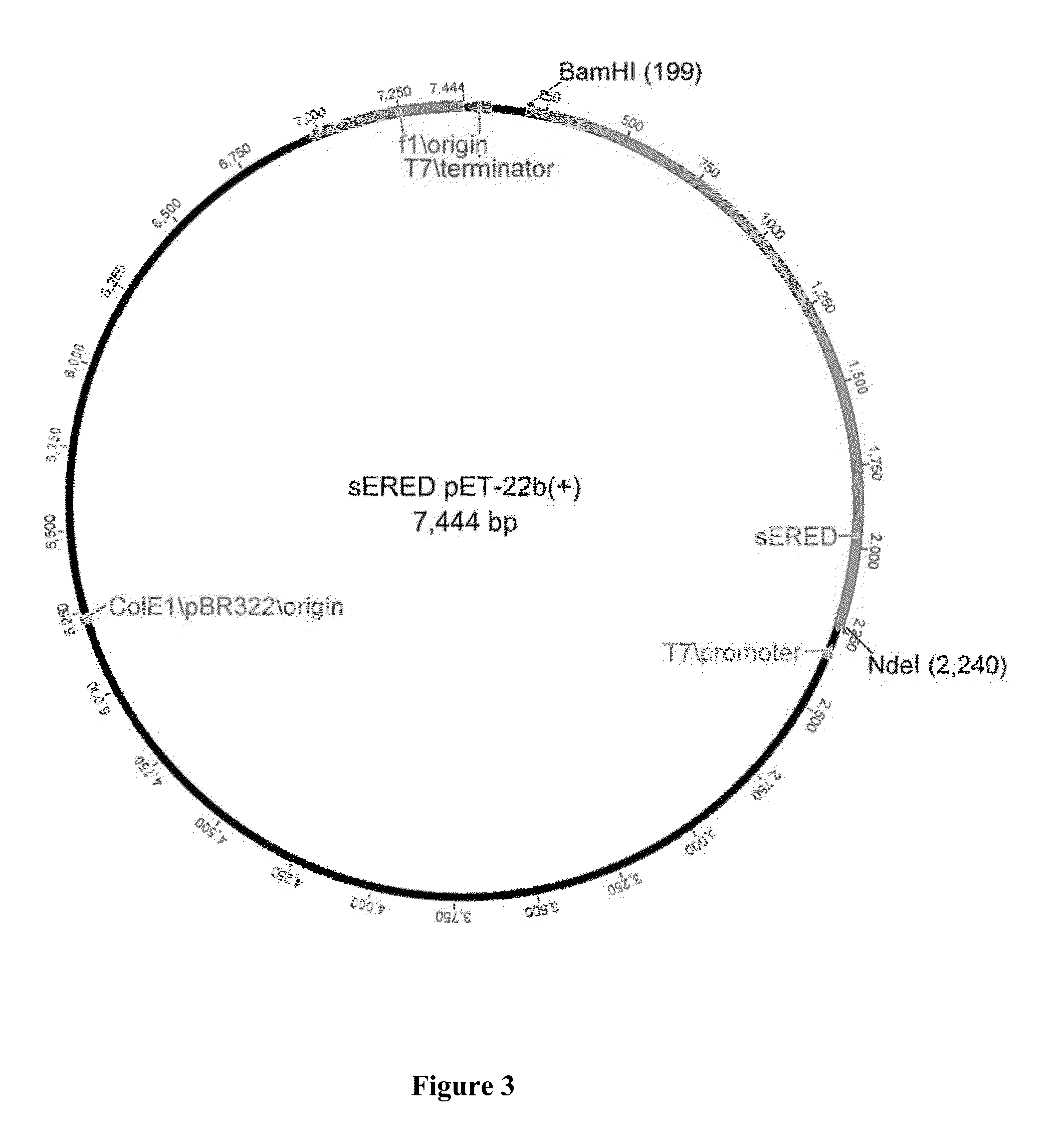 Method for Biotechnological Production of Dihydrochalcones