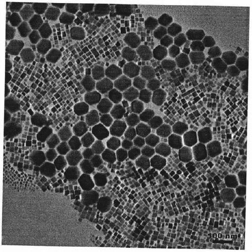 Preparation method of all-inorganic CsPbBr3 perovskite nanocrystal with controllable morphology