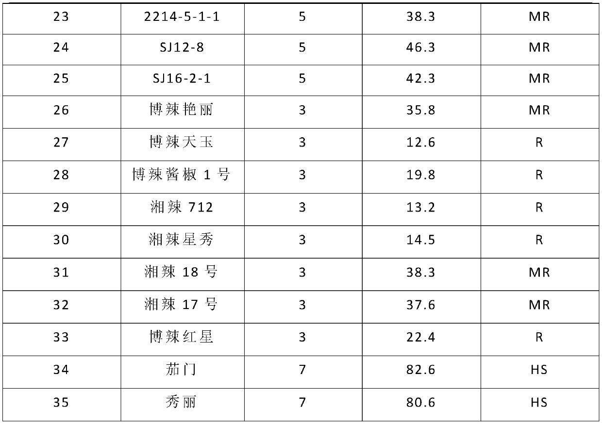 Method for identifying southern blight disease resistance of peppers