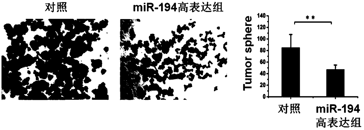 Novel detection of miRNA for targeting interaction of tumor microenvironment and lung cancer stem cells and application