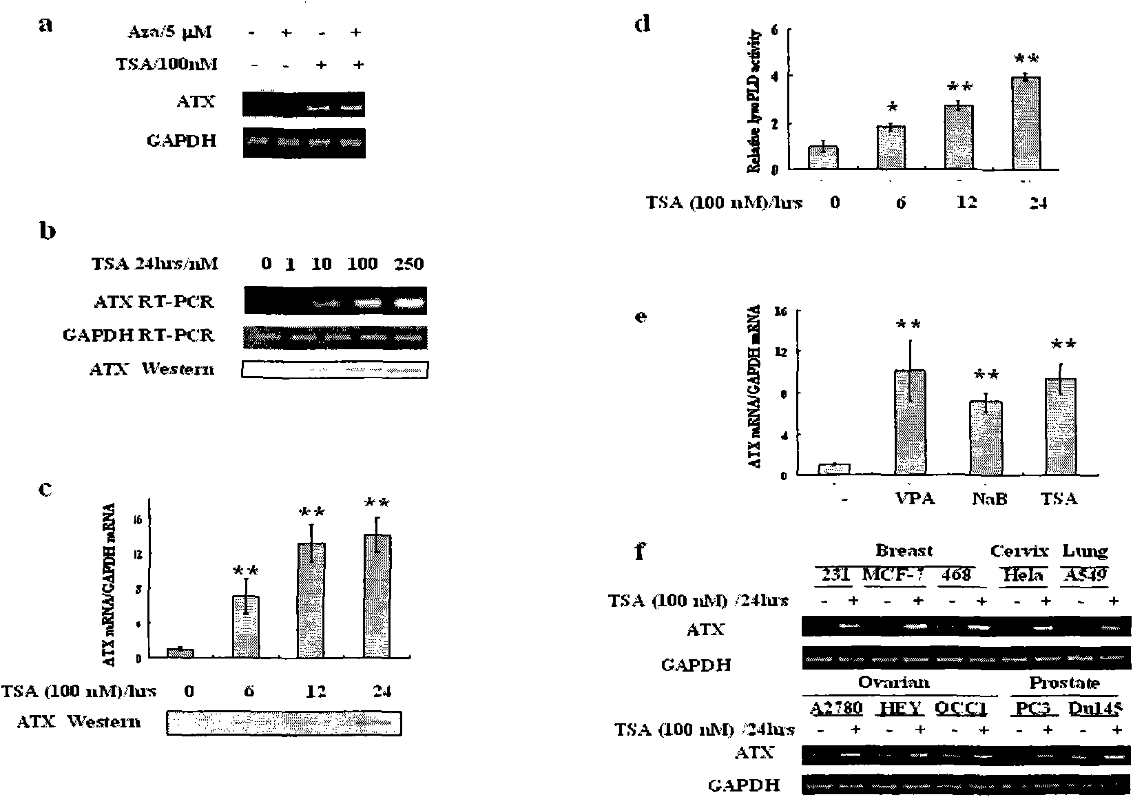 Medicament for treating tumors