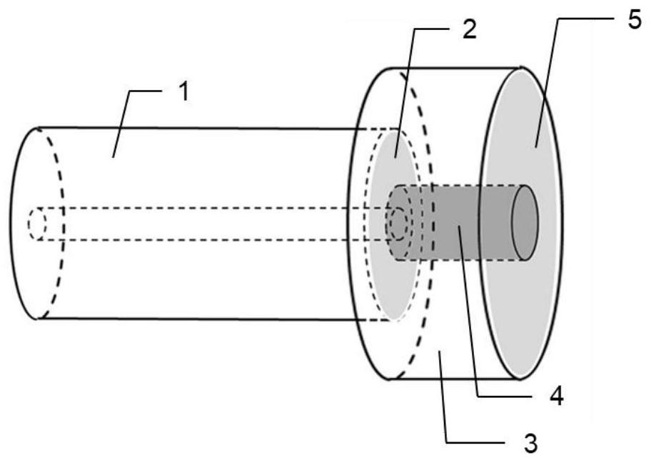 A Fabry-Perot sensor based on silicon core optical fiber and its preparation and application