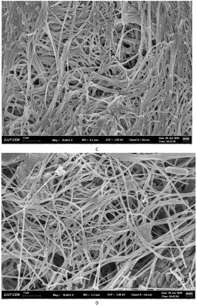 Biological fermentation preparation method for flavored pigskin