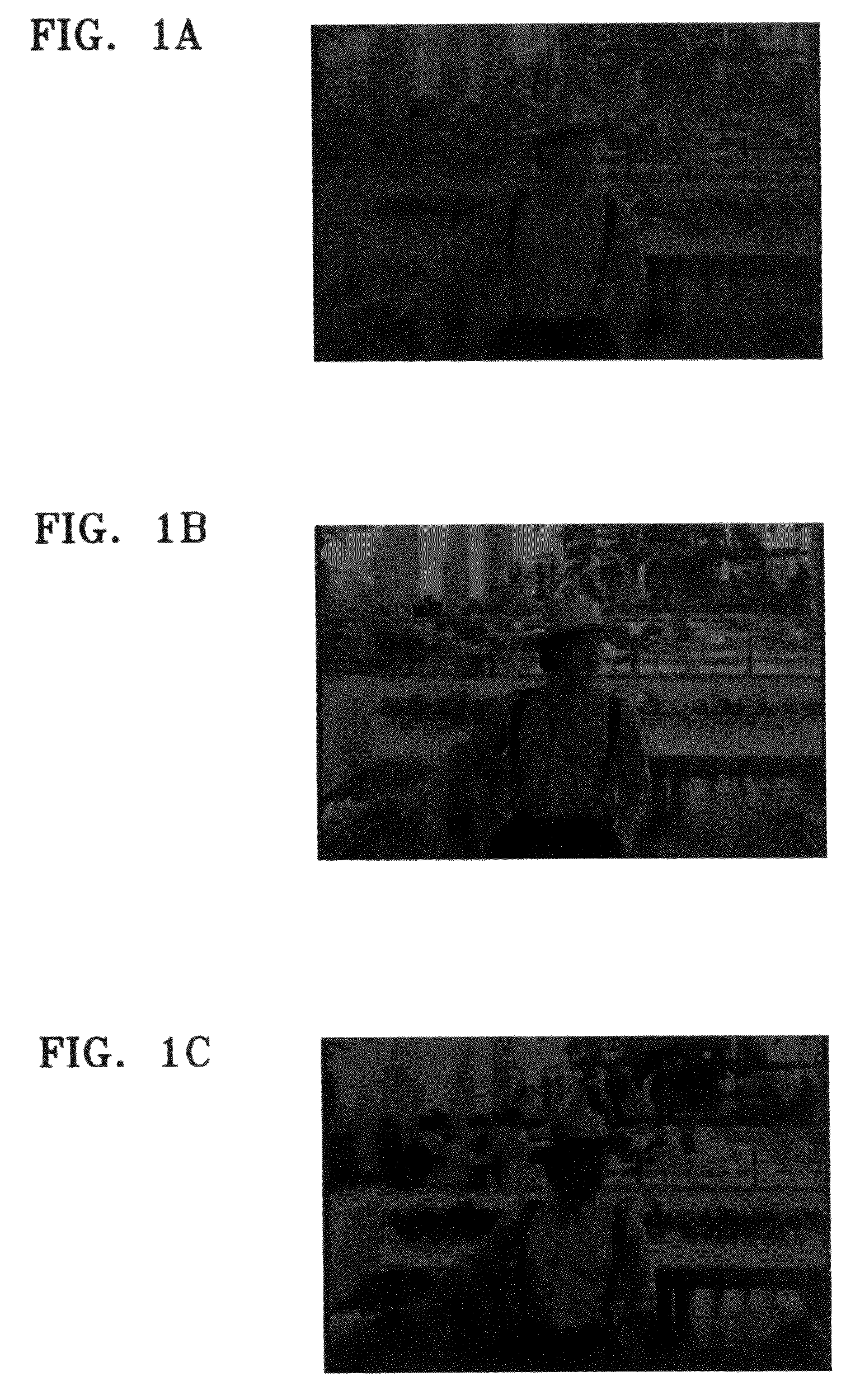 Image encoding/decoding method and apparatus