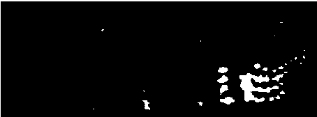 Bone cartilage repair material and preparation method of scaffold for tissue engineering