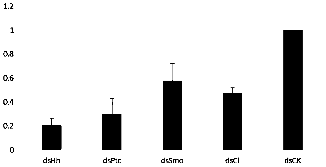 The application of hedgehog signaling pathway genes and dsRNA related to limb regeneration in Periplaneta americana