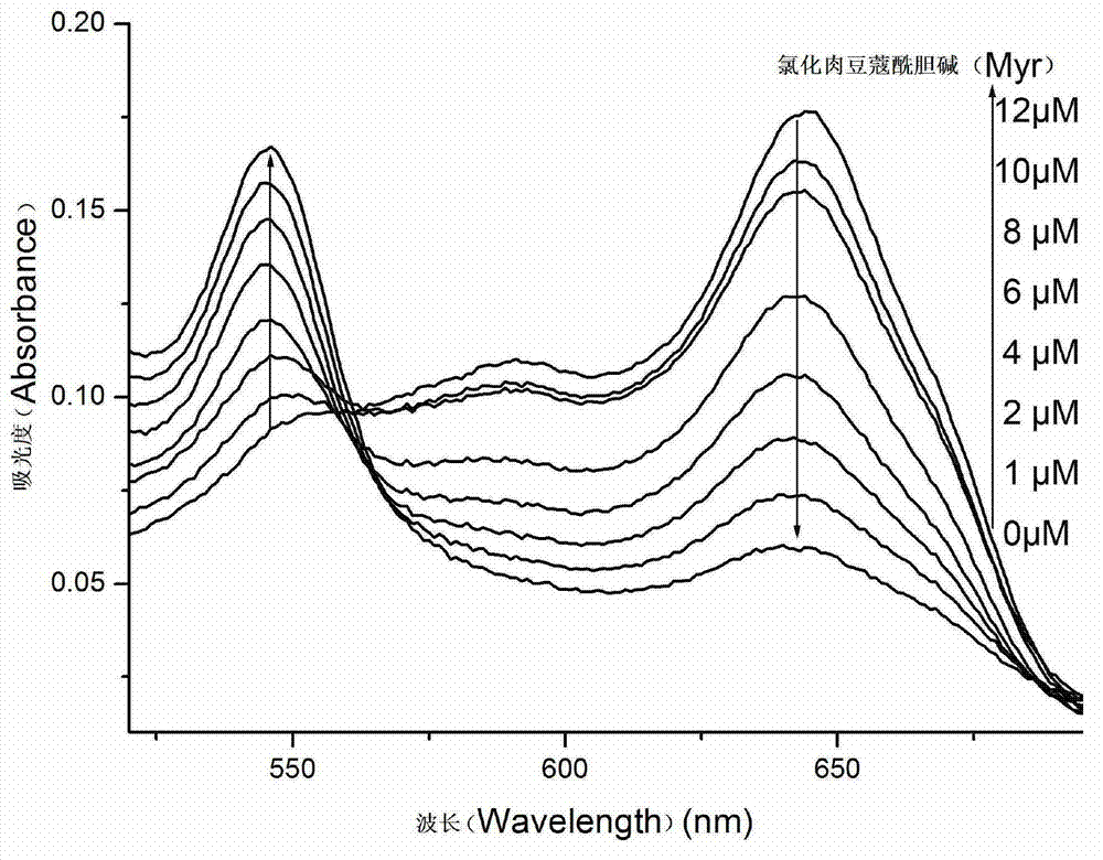 Probe used for detecting acetylcholin esterase and its inhibitor activity, application and preparation method