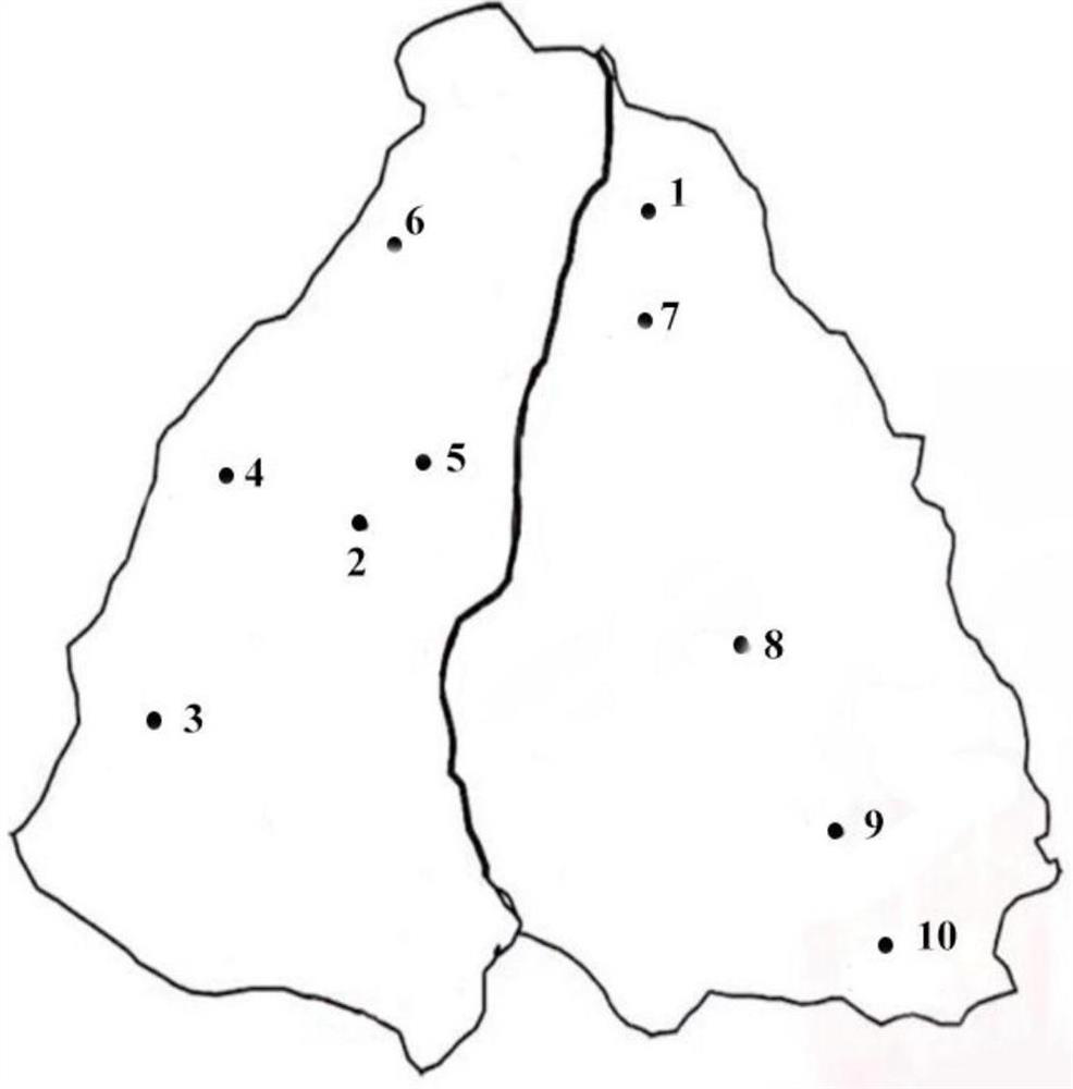 A method for distinguishing different origins of Pu-erh tea in a small area