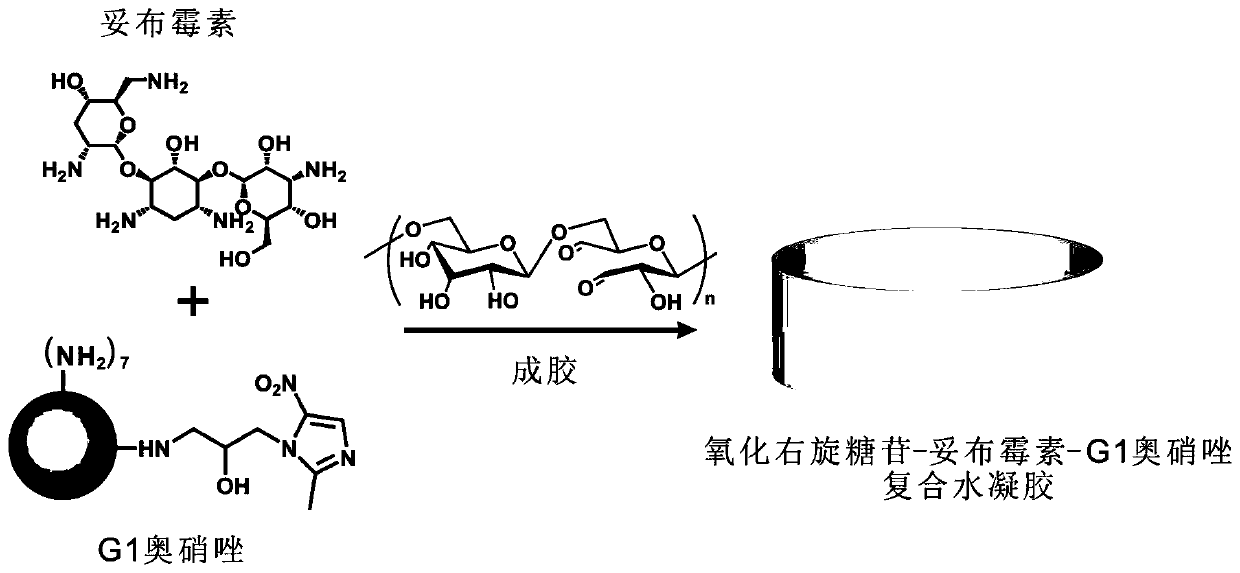 Preparation method and application of controlled-release antibiotic composite hydrogel